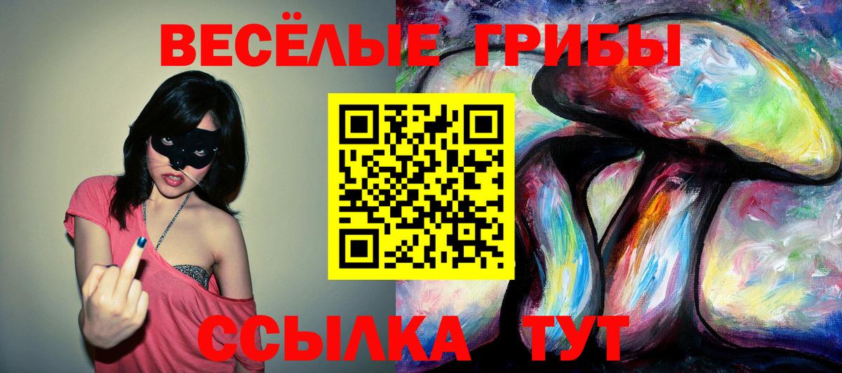 Псилоцибиновые грибы Cubensis  Вход с VPN  Псилоцибиновые грибы Psilocybe  Лянтор 